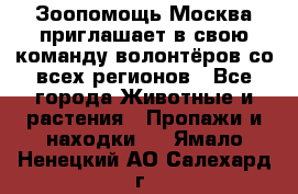 Зоопомощь.Москва приглашает в свою команду волонтёров со всех регионов - Все города Животные и растения » Пропажи и находки   . Ямало-Ненецкий АО,Салехард г.